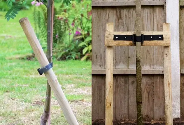 Élagage d’arbres en cour intérieure à Thierry – Rivalain espaces verts