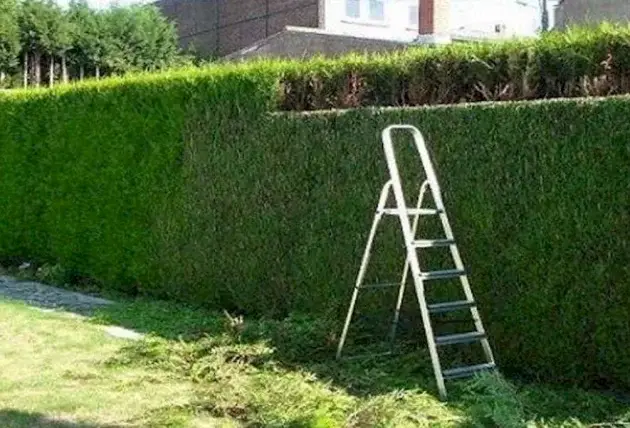 Entretien végétal complet à La Groutte – Rivalain espaces verts