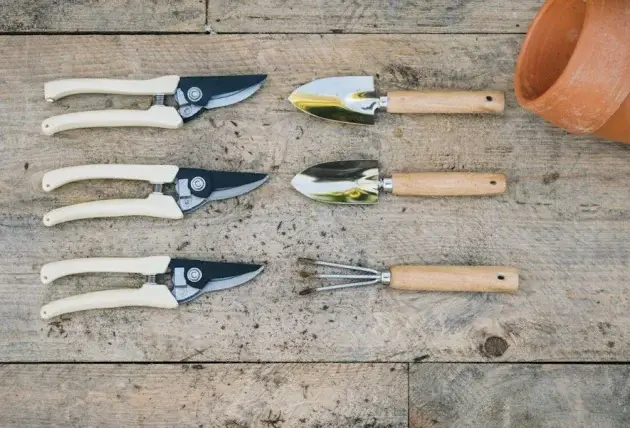 Abattage d’arbre proche maison à Gnol – Rivalain espaces verts