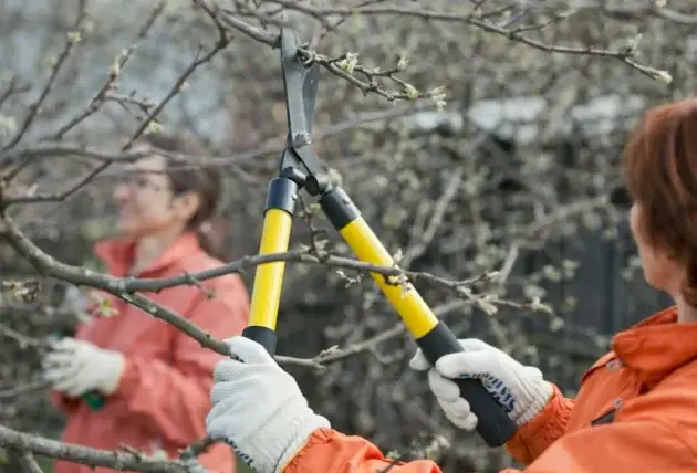 Entreprise d’élagage pour jardin à Chezy – Rivalain espaces verts
