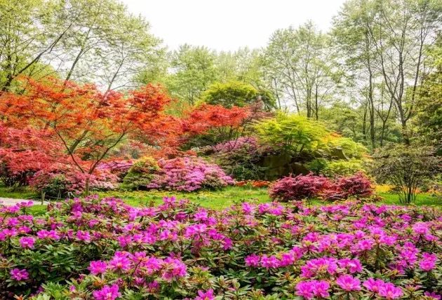 Taille de haie décorative de jardin à Chassy – Rivalain espaces verts