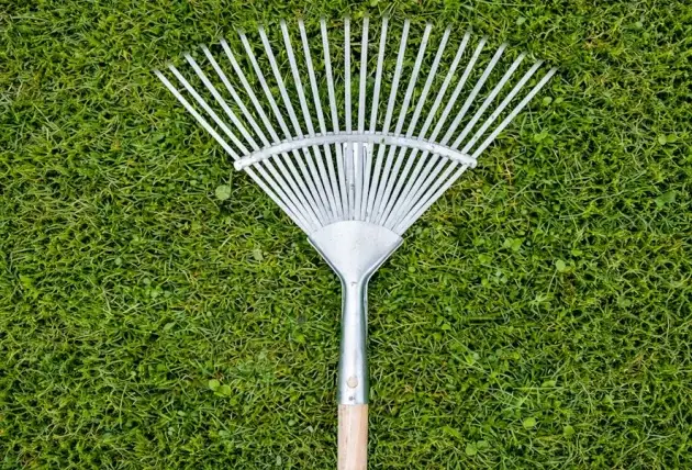 Entreprise d’élagage pour particuliers à Couy – Rivalain espaces verts