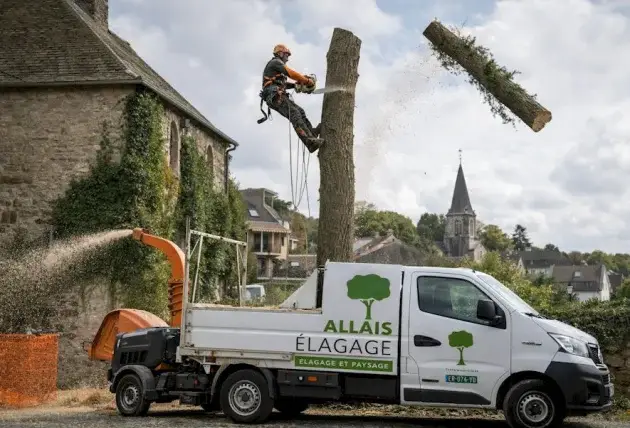 Entretien des haies d’ornement à Chezy – Rivalain espaces verts