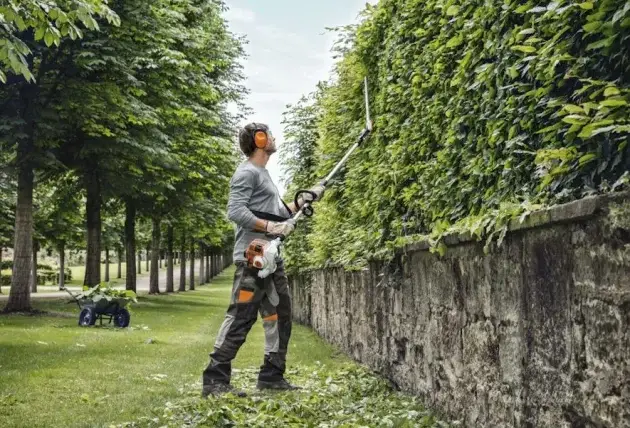 Élagage des arbres d’ombrage à Gnol – Rivalain espaces verts