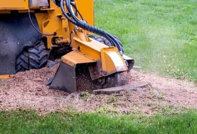 Préparer un chantier d’arbre à Chezy avec plus de clarté – Rivalain espaces verts