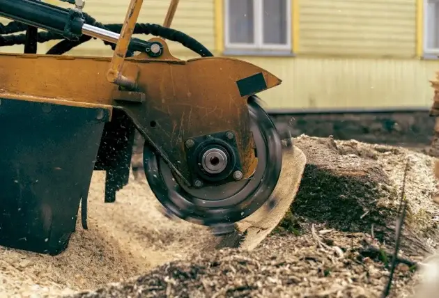 Travaux d’élagage sécurisés à Morlac – Rivalain espaces verts