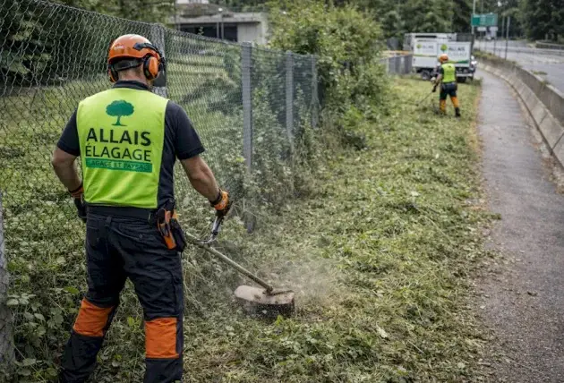 Taille de haie d’automne à Assigny – Rivalain espaces verts