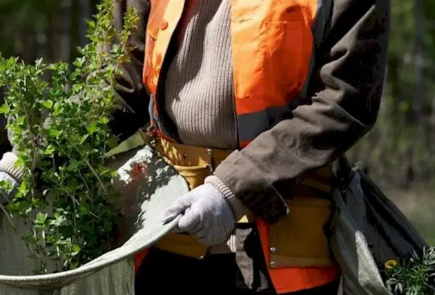 Aménagement complet de jardin à Chassy – Rivalain espaces verts