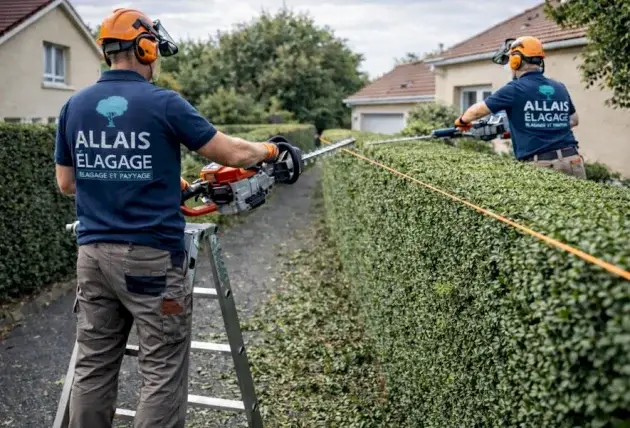 Taille de haie de thuya à Morlac – Rivalain espaces verts