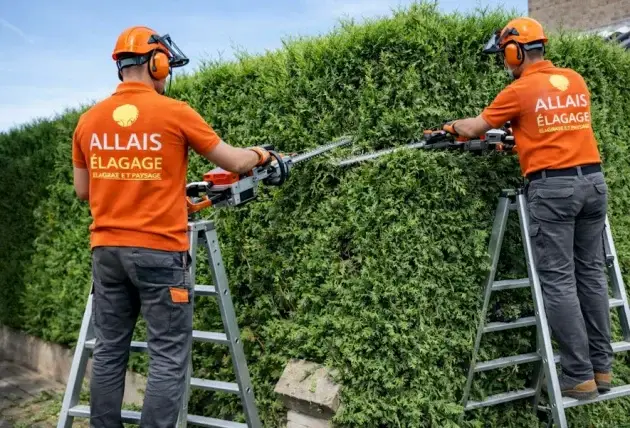Démontage d’arbre avec rétention dynamique à Le Chautay – Rivalain espaces verts