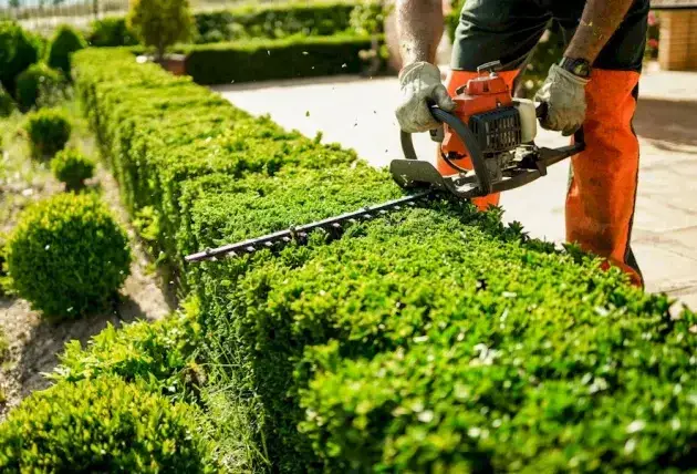 Dessouchage après démontage à Lignières – Rivalain espaces verts