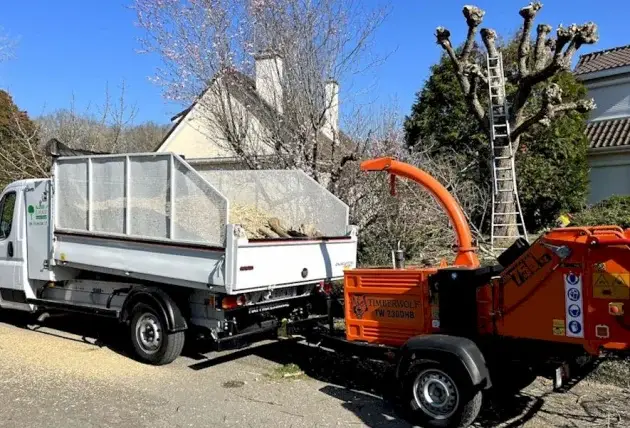 Taille de réduction sur un érable proche des réseaux à Morlac – Rivalain espaces verts